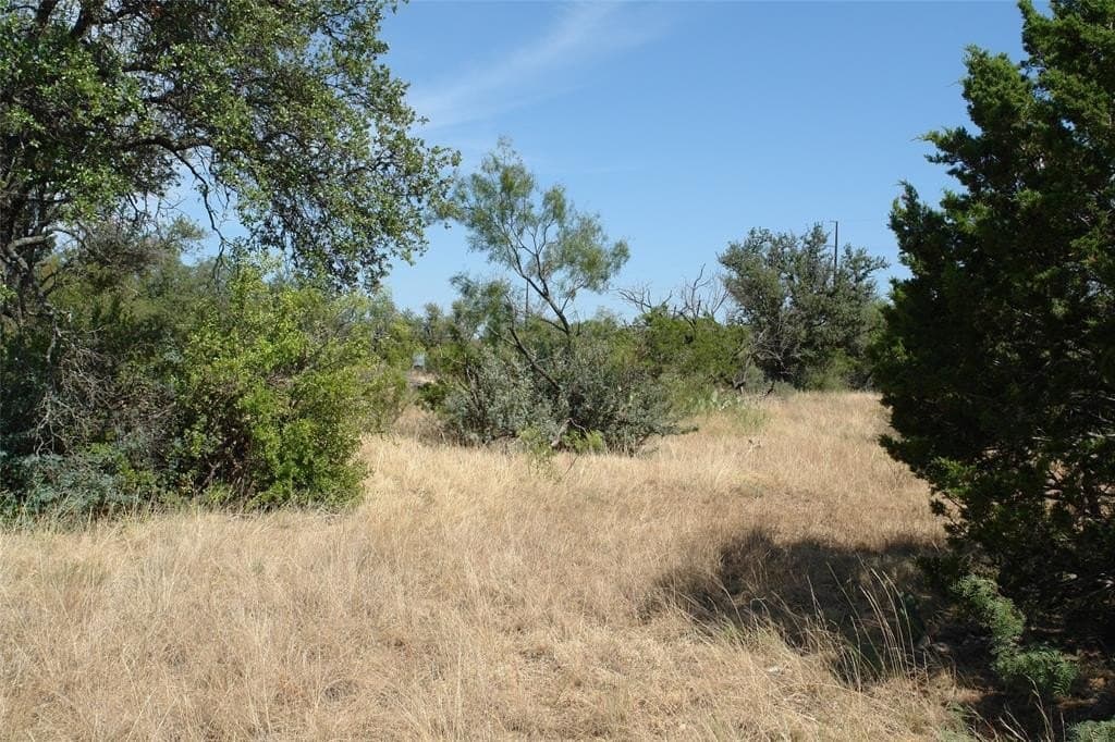 111 acres in McCulloch County - photo 16