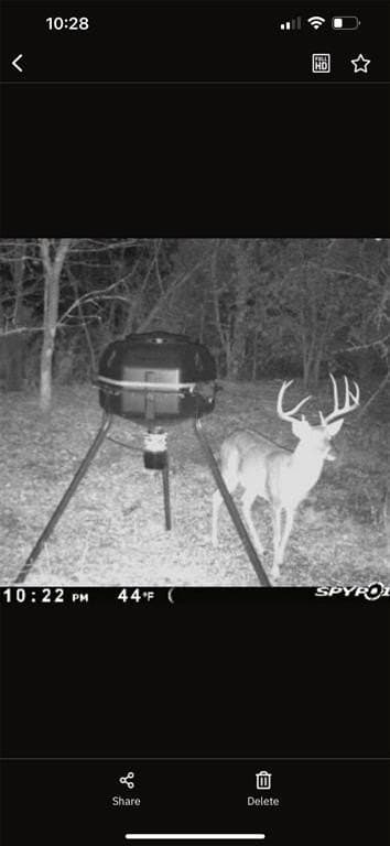 18.86 acres in Grayson County - photo 38