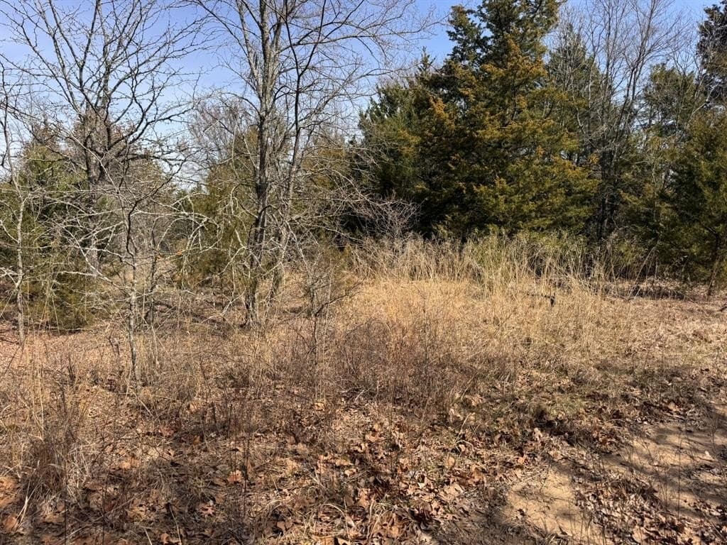 18.86 acres in Grayson County - photo 21