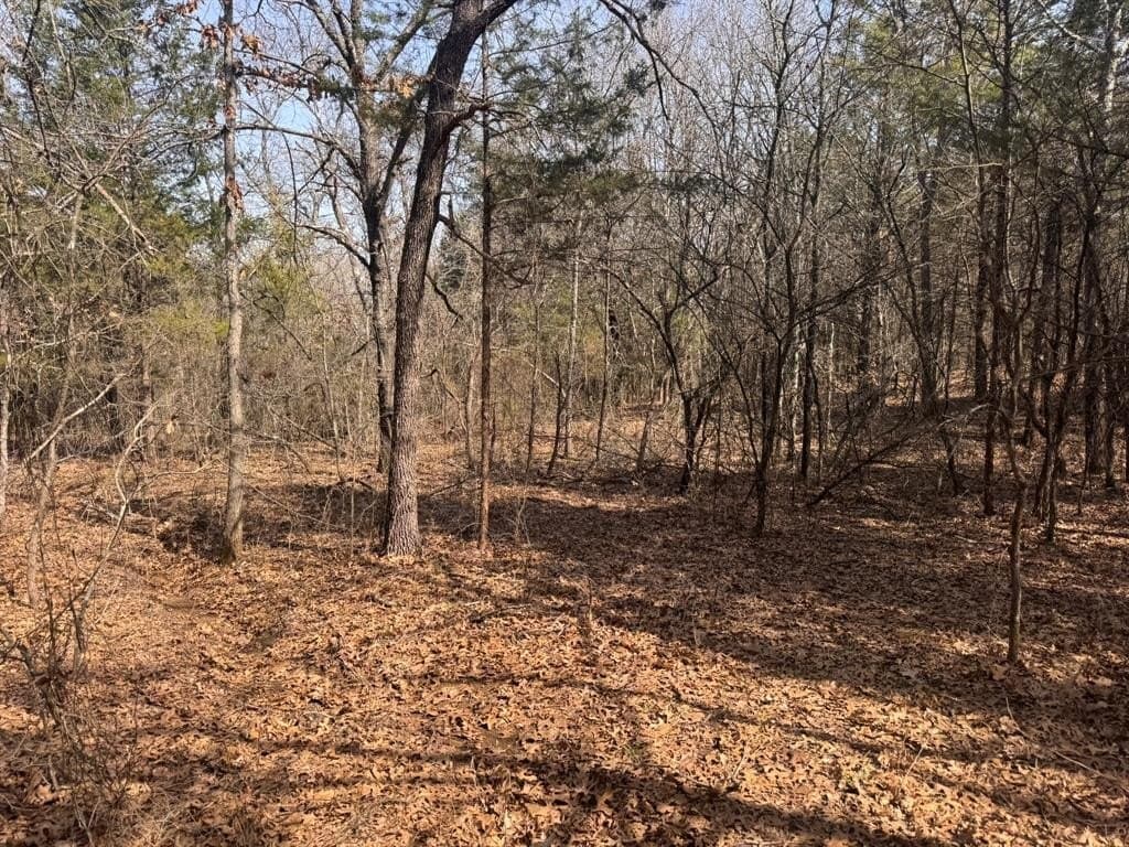 18.86 acres in Grayson County - photo 35