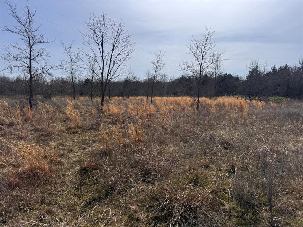 18.86 acres in Grayson County - photo 2