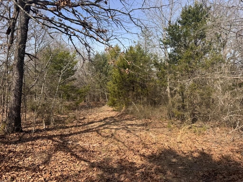 18.86 acres in Grayson County - photo 25