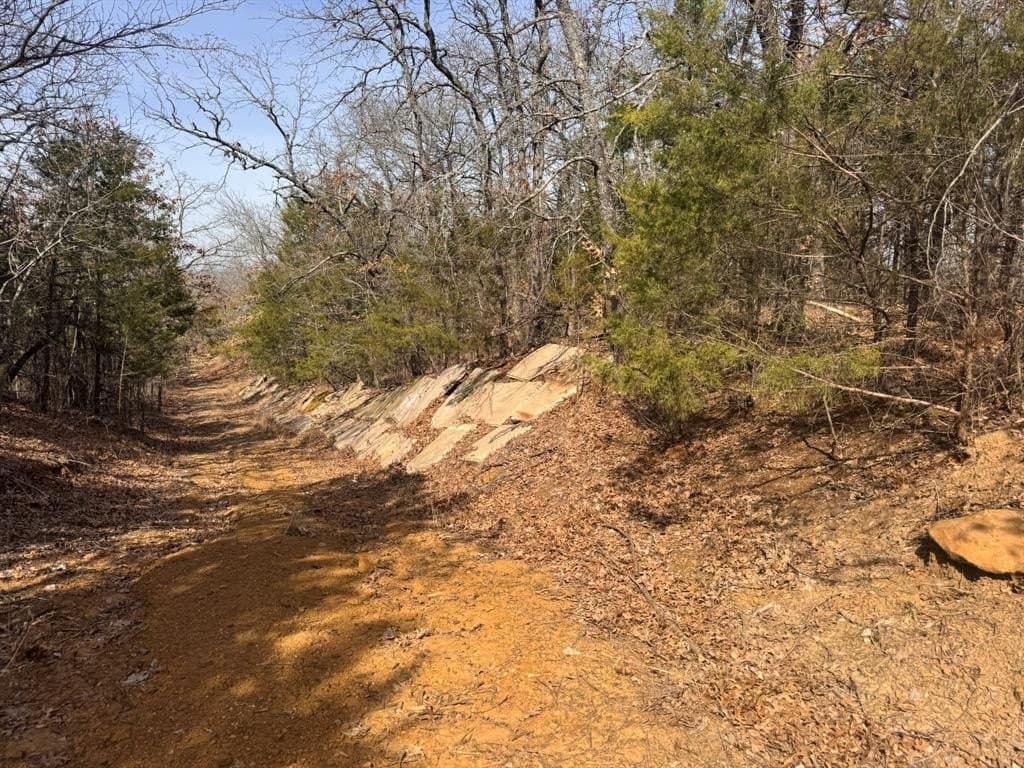 18.86 acres in Grayson County - photo 30