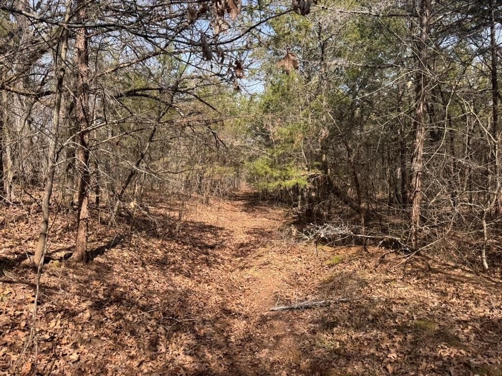 18.86 acres in Grayson County - photo 32