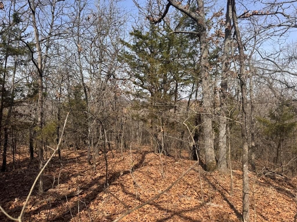 18.86 acres in Grayson County - photo 29