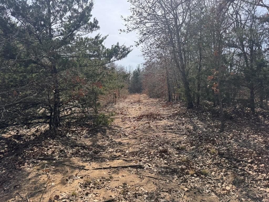 18.86 acres in Grayson County - photo 27