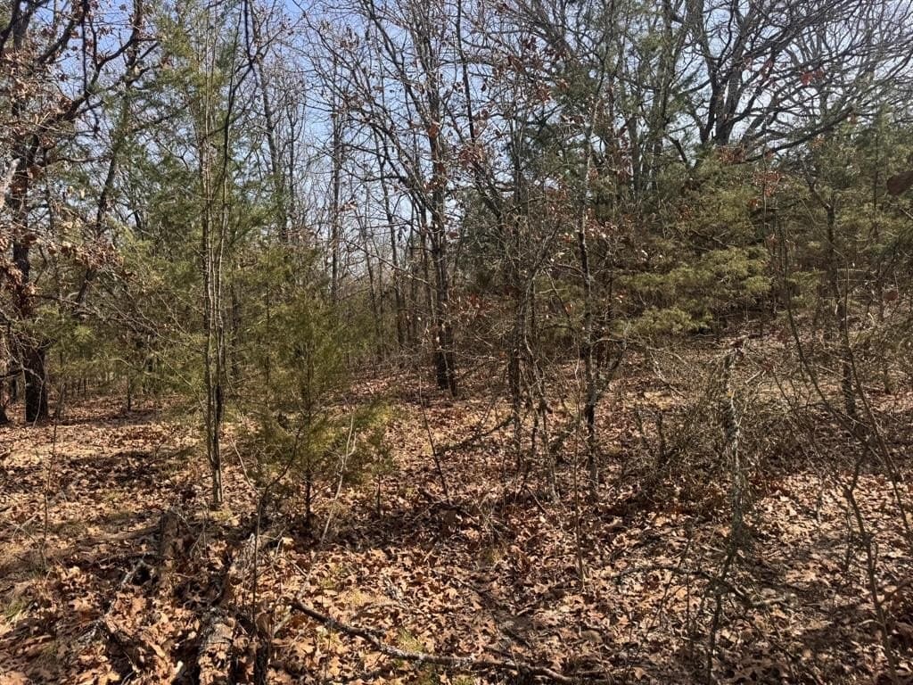 18.86 acres in Grayson County - photo 24