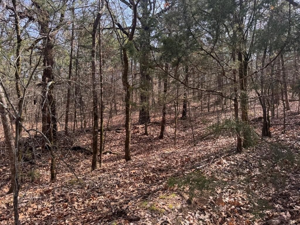 18.86 acres in Grayson County - photo 33