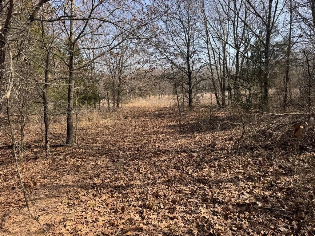 18.86 acres in Grayson County - photo 23