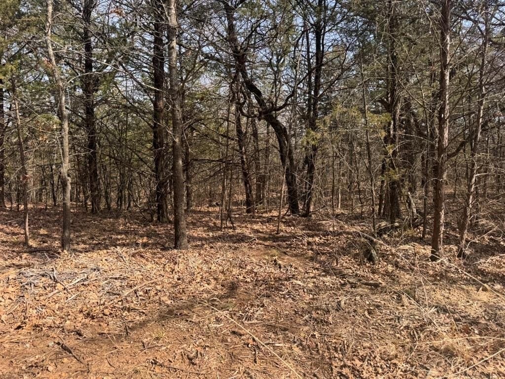 18.86 acres in Grayson County - photo 31