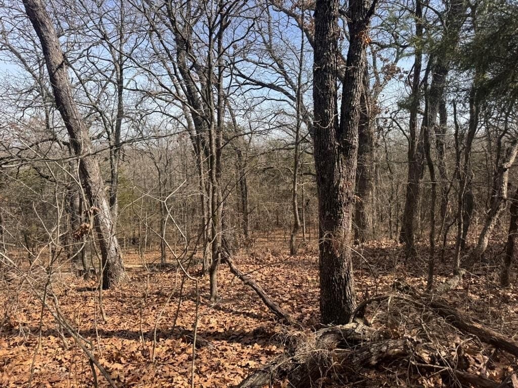 18.86 acres in Grayson County - photo 28