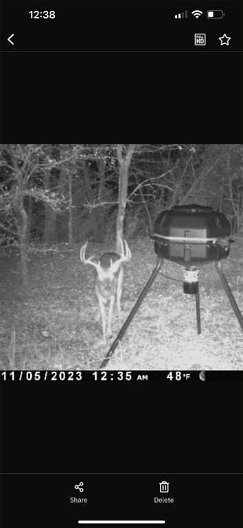 18.86 acres in Grayson County - photo 37