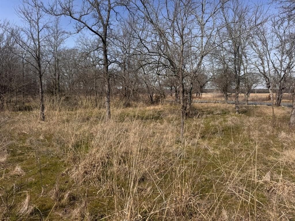 18.86 acres in Grayson County - photo 5