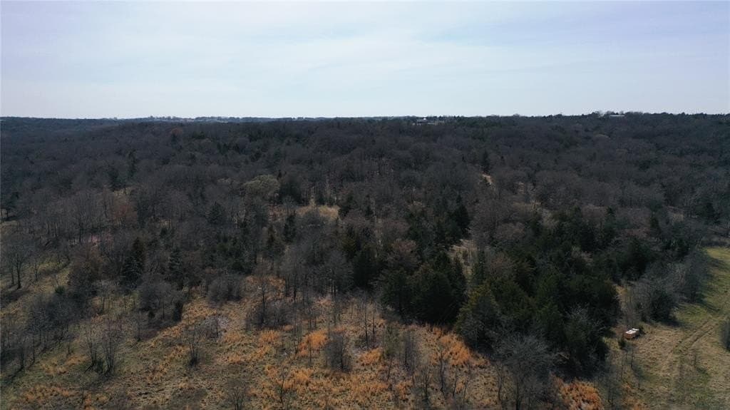 18.86 acres in Grayson County - photo 9