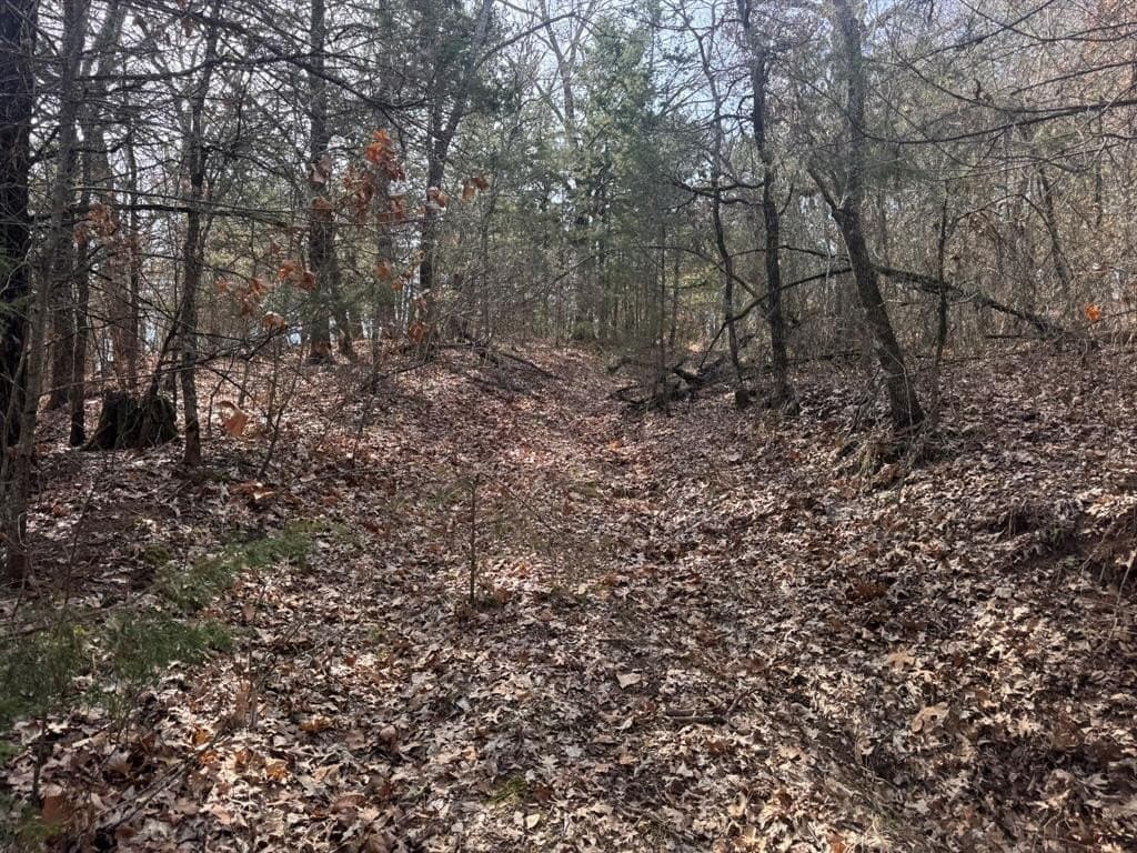 18.86 acres in Grayson County - photo 34