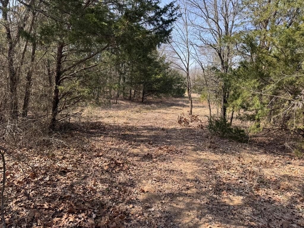 18.86 acres in Grayson County - photo 22