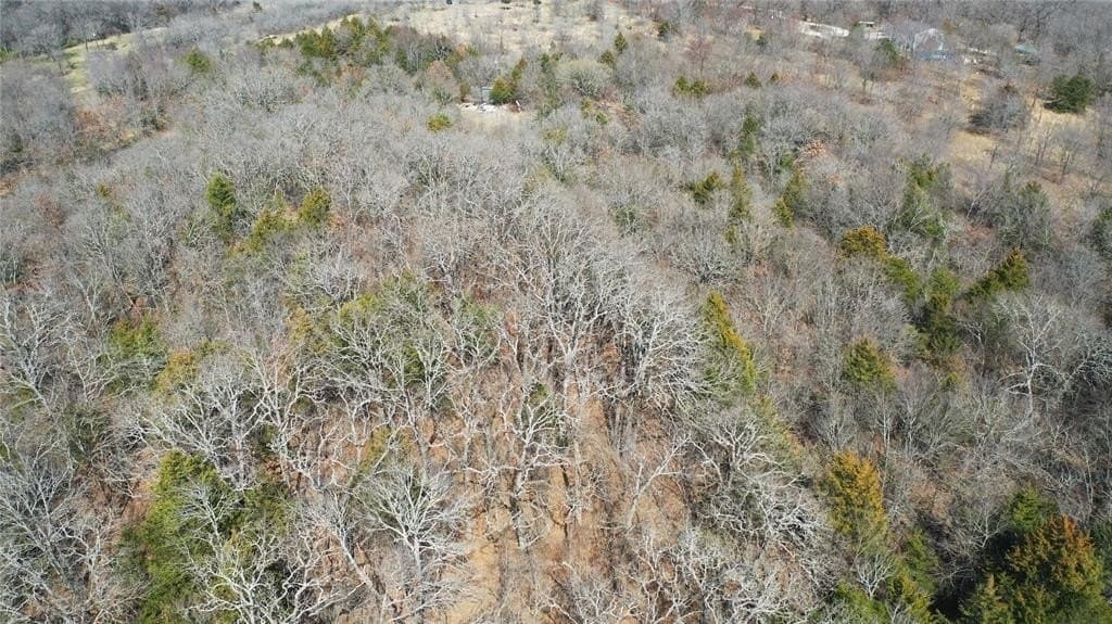 18.86 acres in Grayson County - photo 18