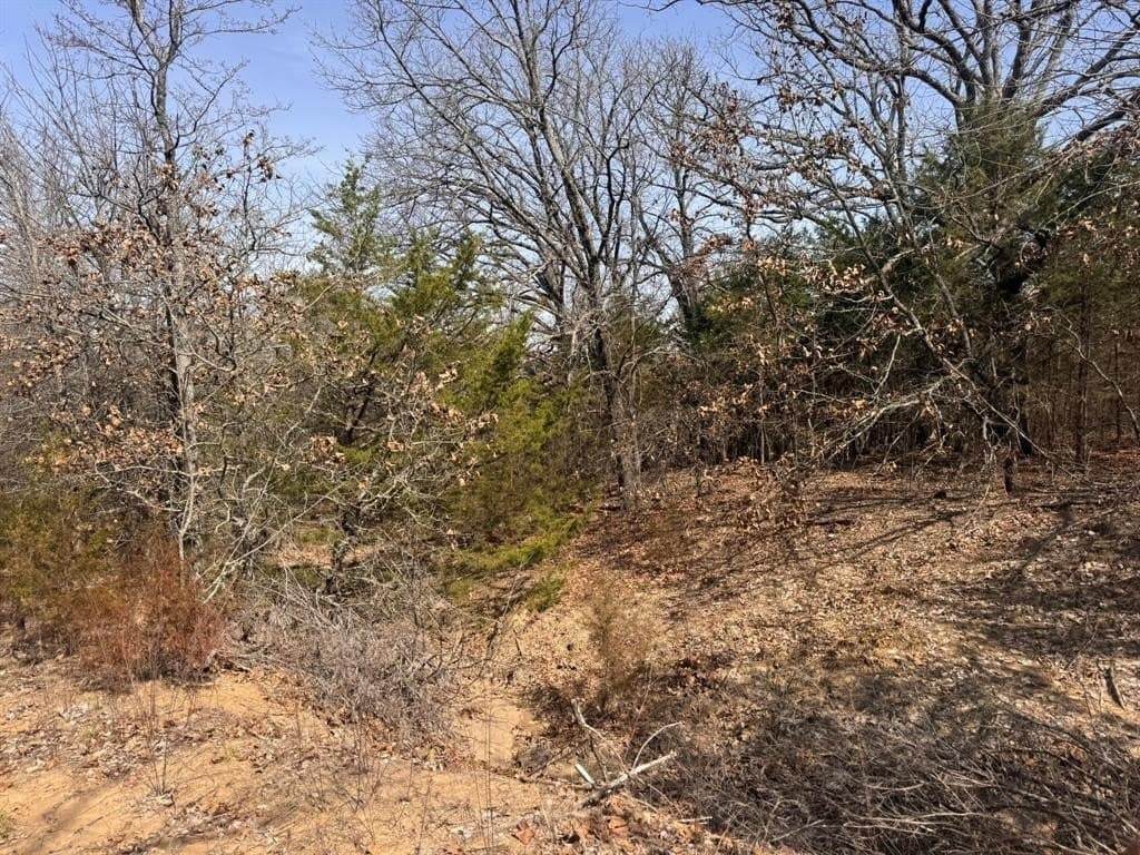 18.86 acres in Grayson County - photo 26