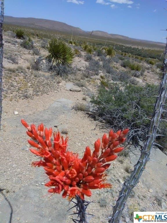 20.04 acres in Hudspeth County - photo 3