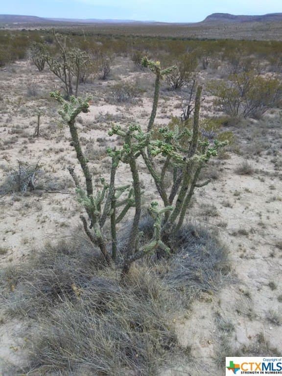 20.04 acres in Hudspeth County - photo 2