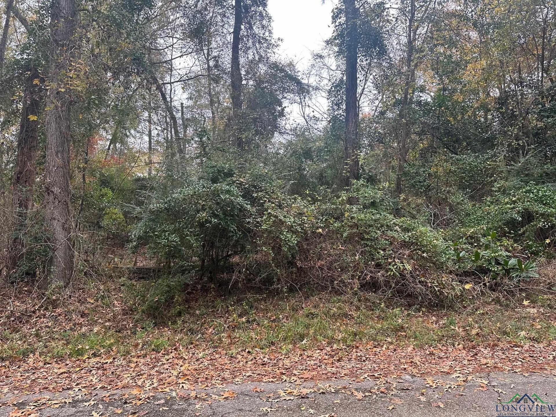 0.38 acres in Gregg County - photo 2