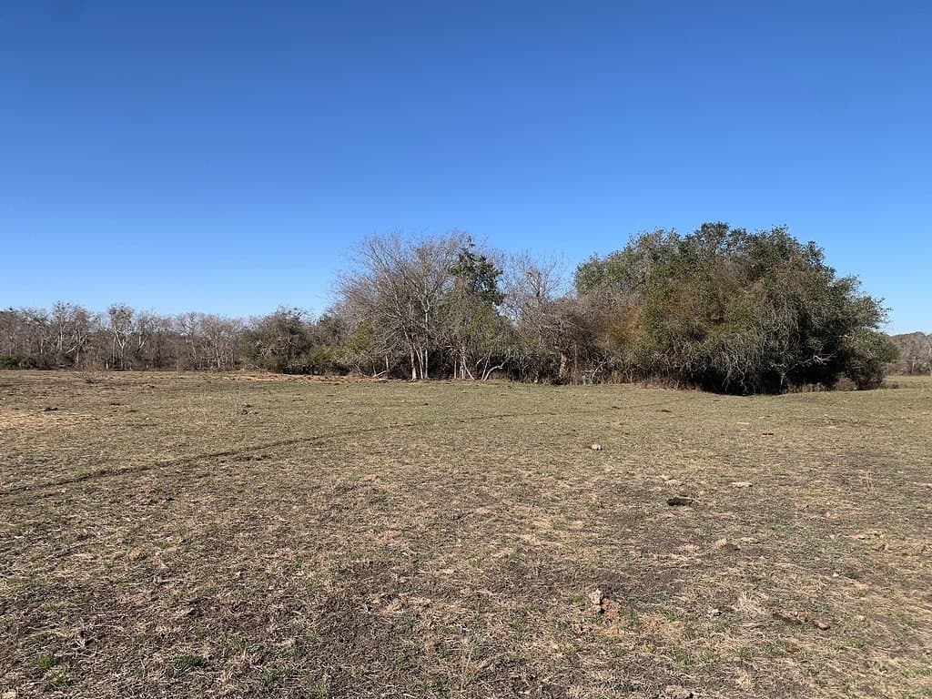 64 acres in Colorado County - photo 2