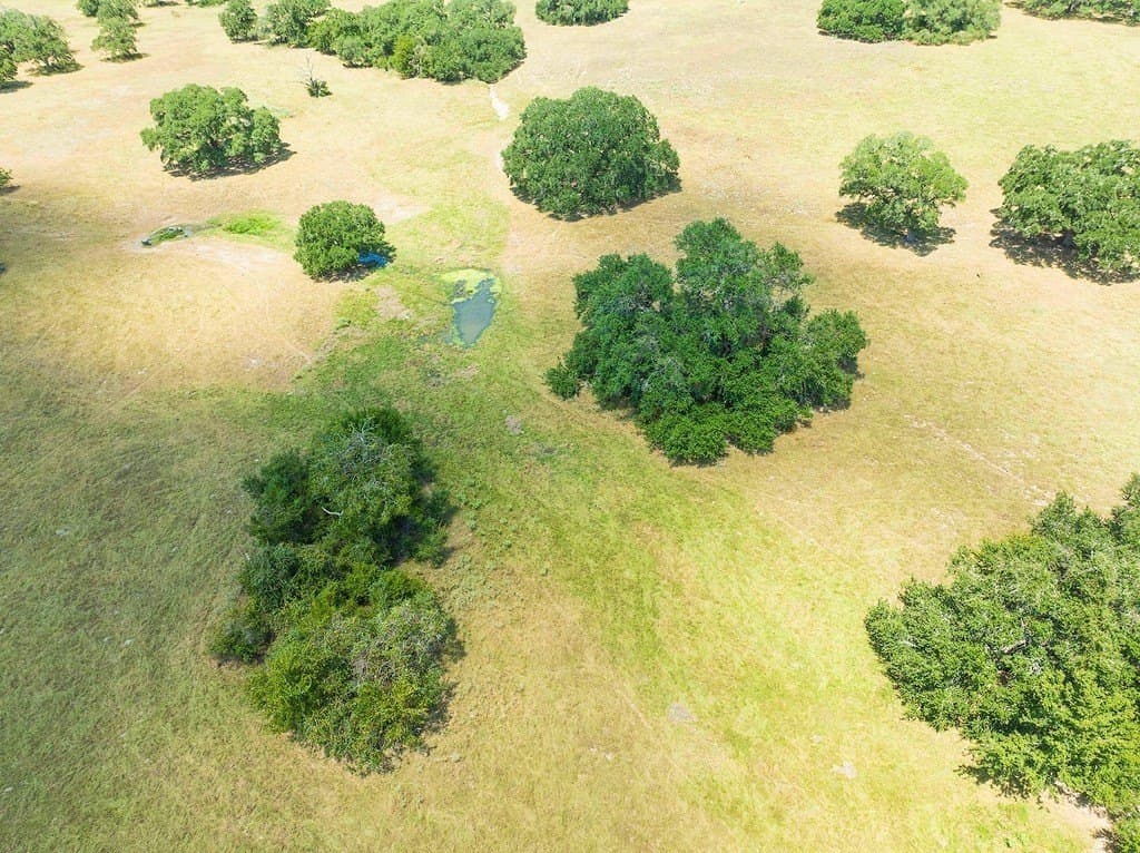 41.59 acres in Fayette County - photo 4