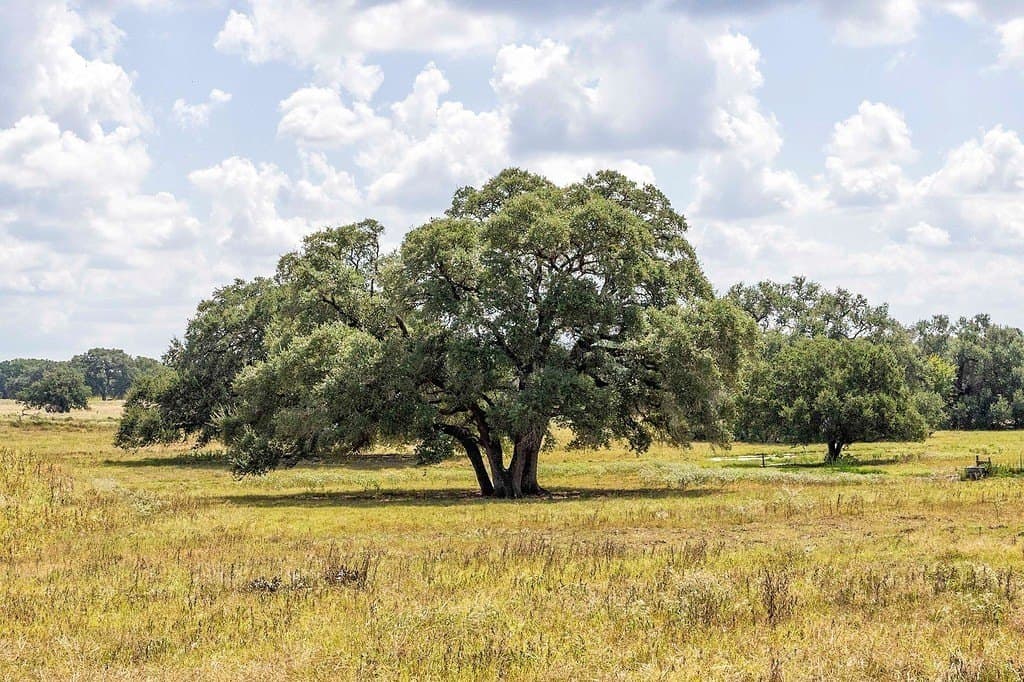 41.59 acres in Fayette County - photo 9