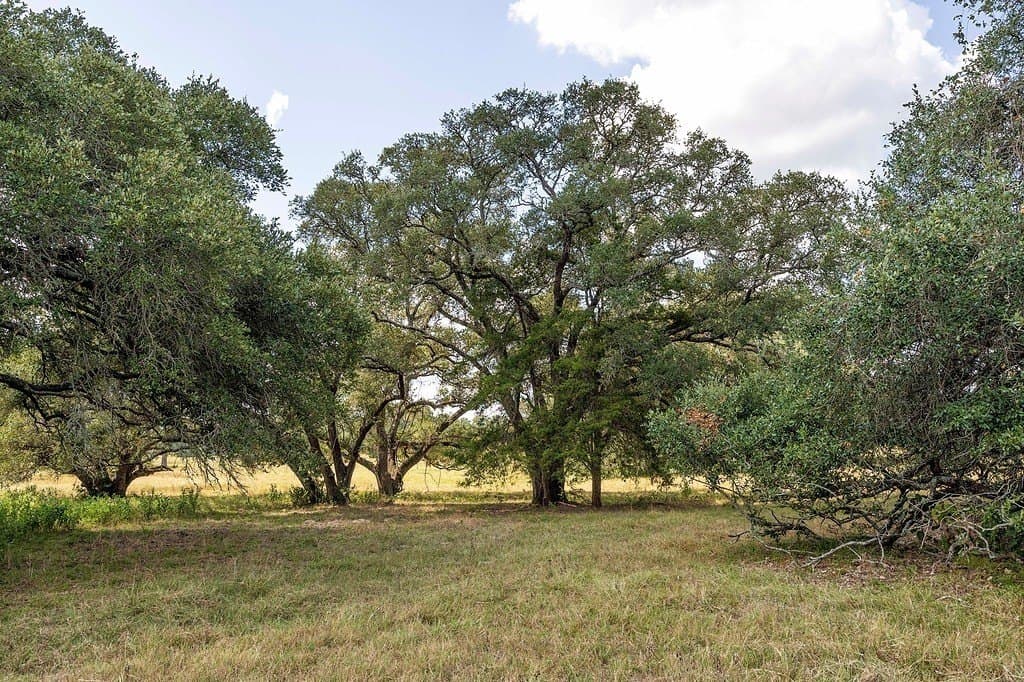 41.59 acres in Fayette County - photo 7