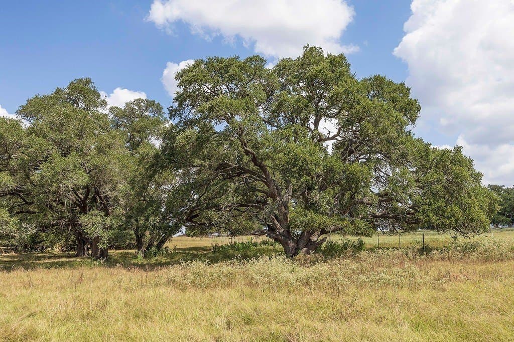 41.59 acres in Fayette County - photo 6