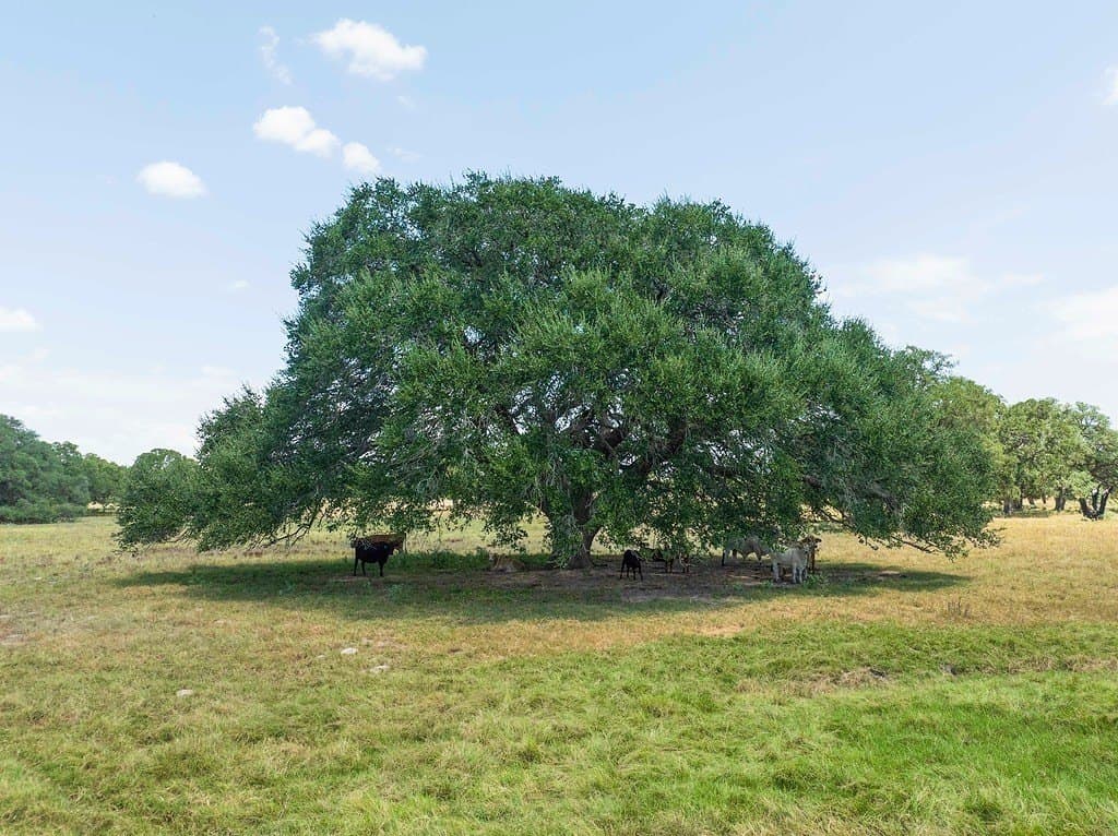 41.59 acres in Fayette County - photo 5