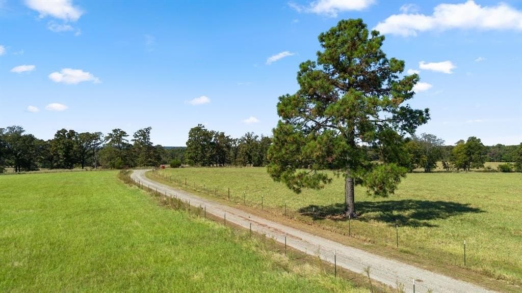 45 acres in Van Zandt County - photo 4
