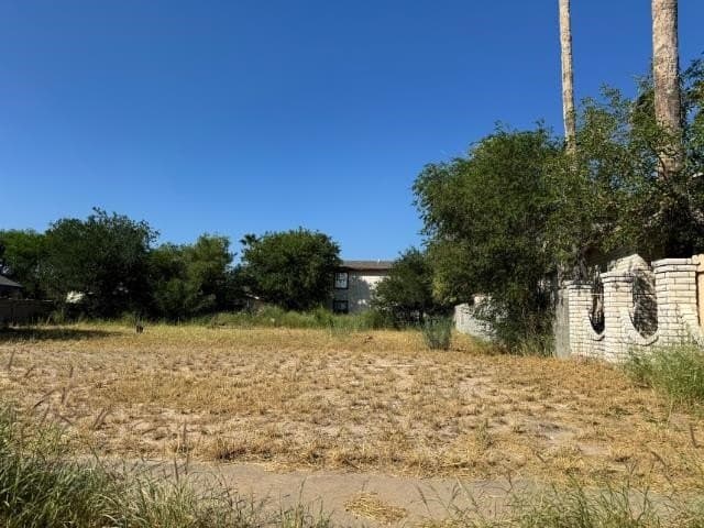 0.12 acres in Webb County - photo 3