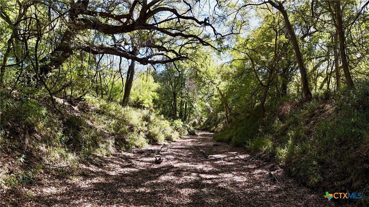 72 acres in Fayette County - photo 26