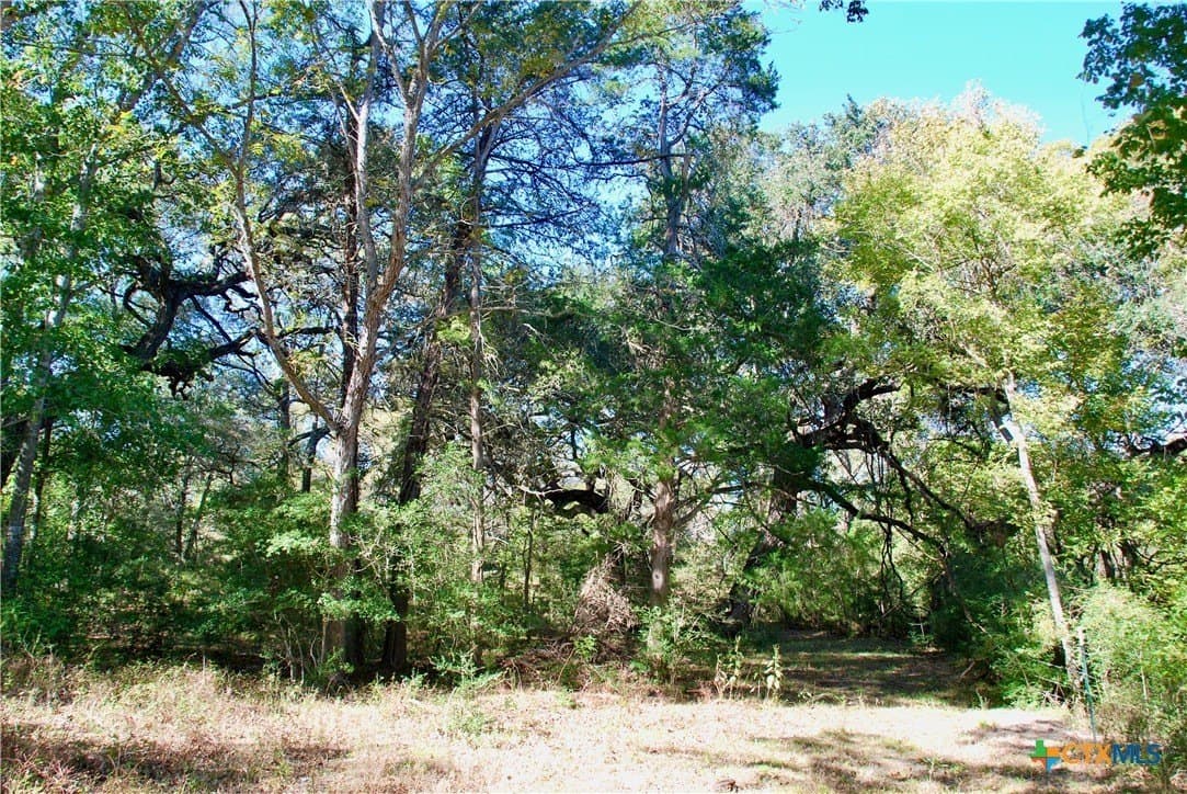 72 acres in Fayette County - photo 16