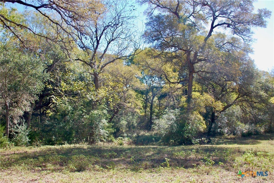 72 acres in Fayette County - photo 37
