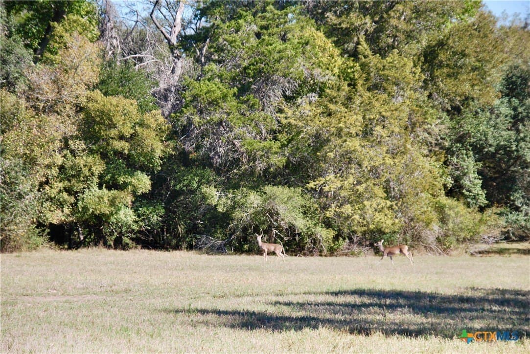 72 acres in Fayette County - photo 36