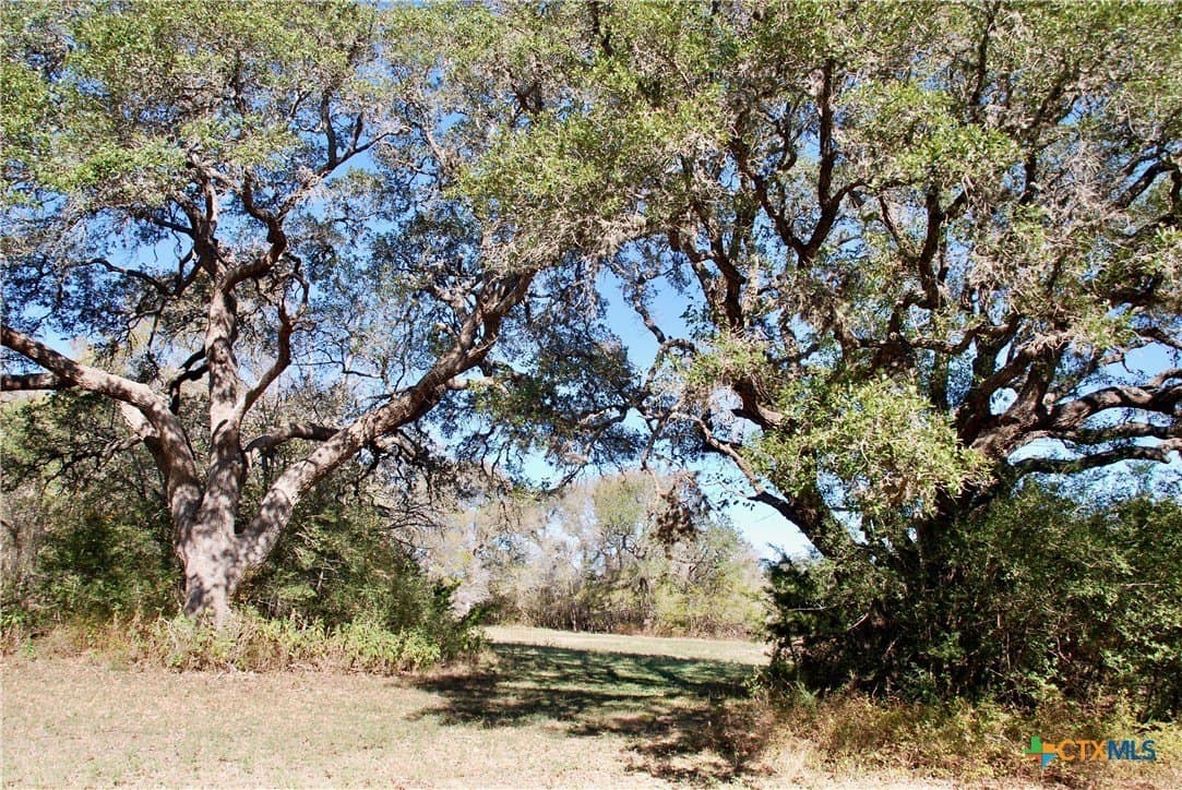 72 acres in Fayette County - photo 14