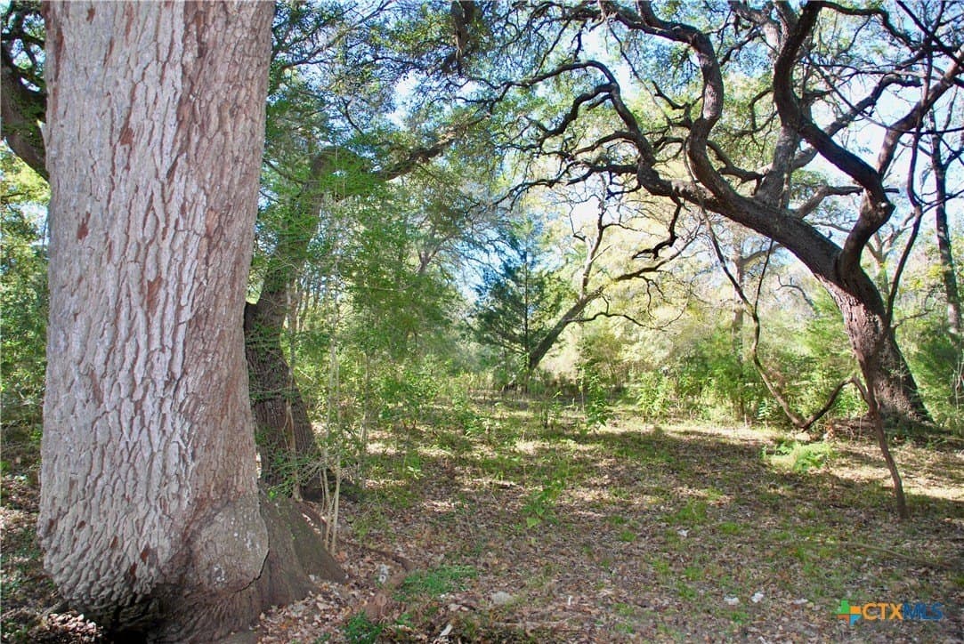 72 acres in Fayette County - photo 11