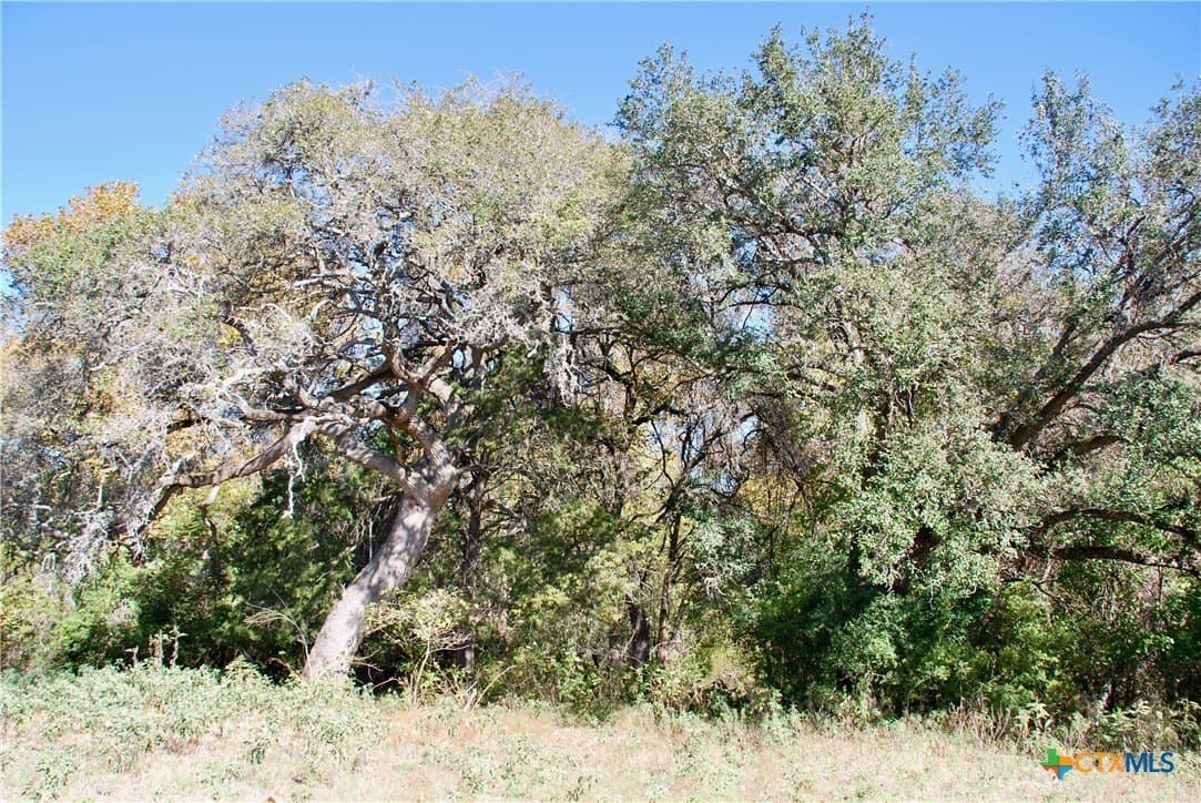 72 acres in Fayette County - photo 19