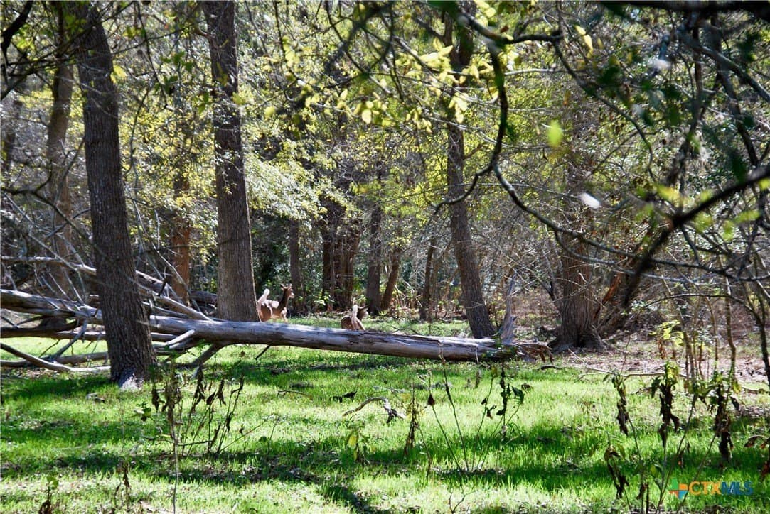 72 acres in Fayette County - photo 20