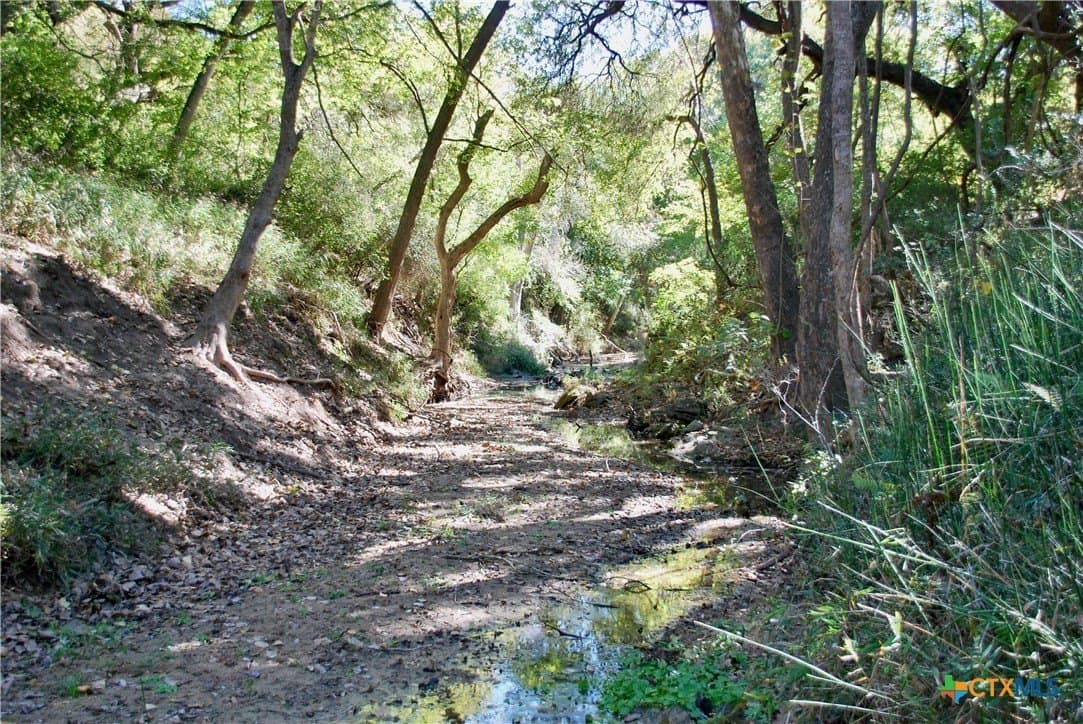 72 acres in Fayette County - photo 24