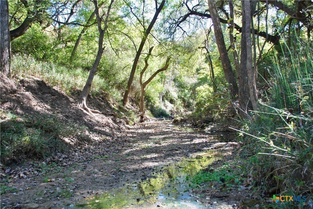 72 acres in Fayette County - photo 25