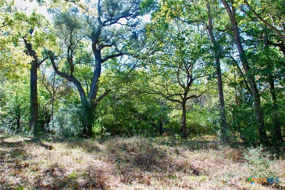 72 acres in Fayette County - photo 18