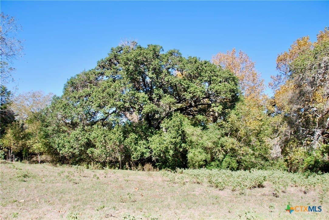 72 acres in Fayette County - photo 32