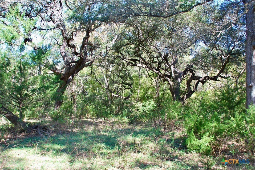 72 acres in Fayette County - photo 21