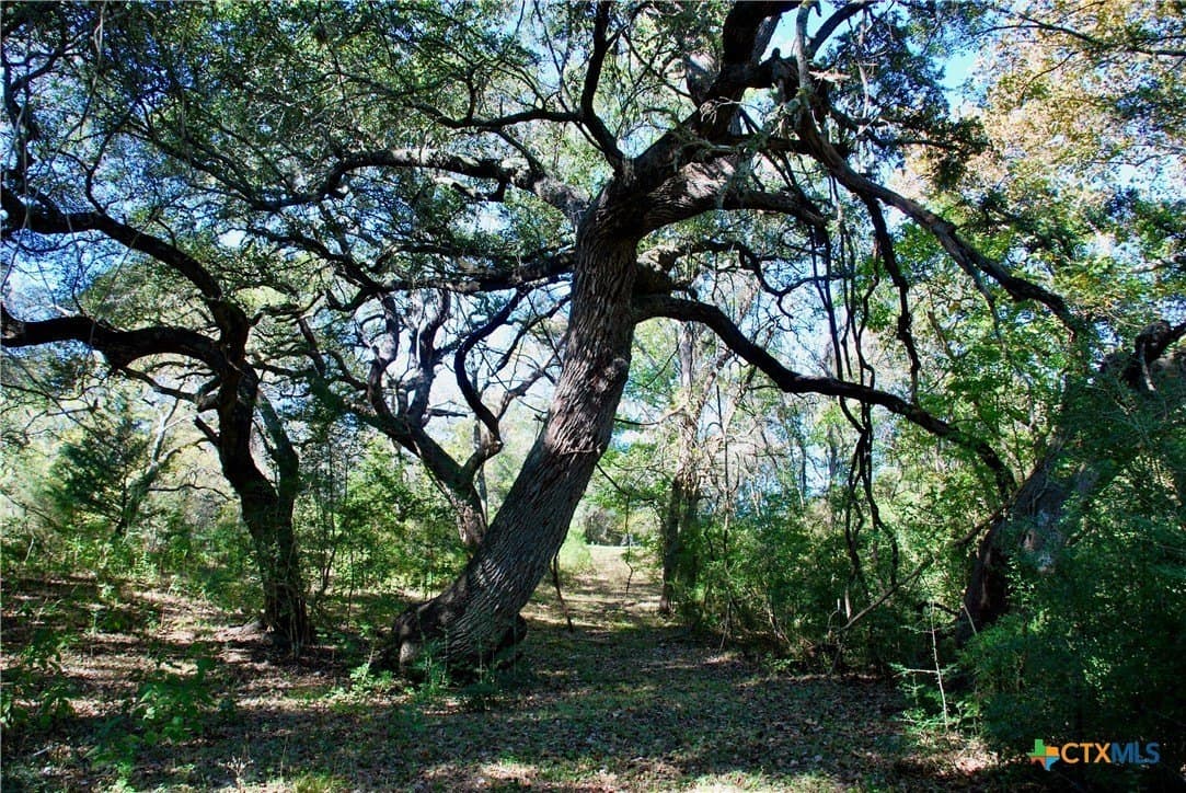 72 acres in Fayette County - photo 9