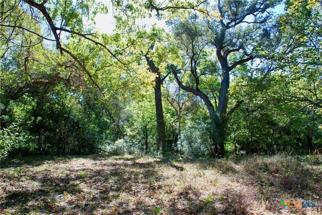 72 acres in Fayette County - photo 17