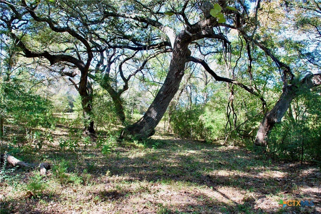 72 acres in Fayette County - photo 23