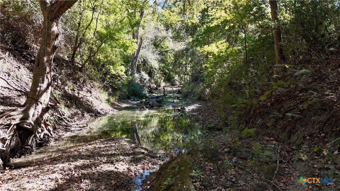 72 acres in Fayette County - photo 28